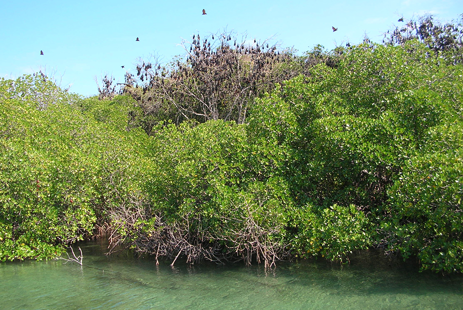 Des Circuits Du Flores Voyage Avec Guide Francophone Sur L Ile De